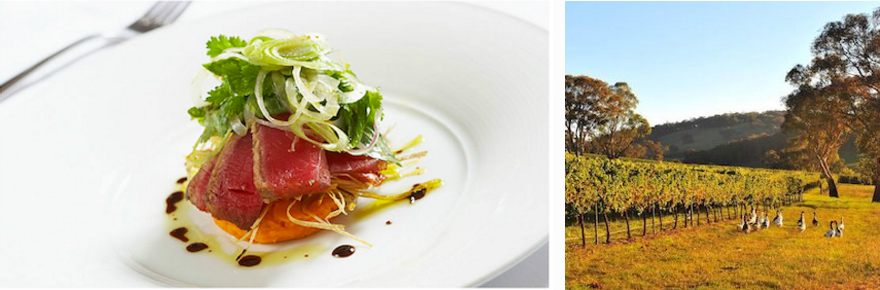 screen-shot-2016-10-10-at-5-45-32-pm